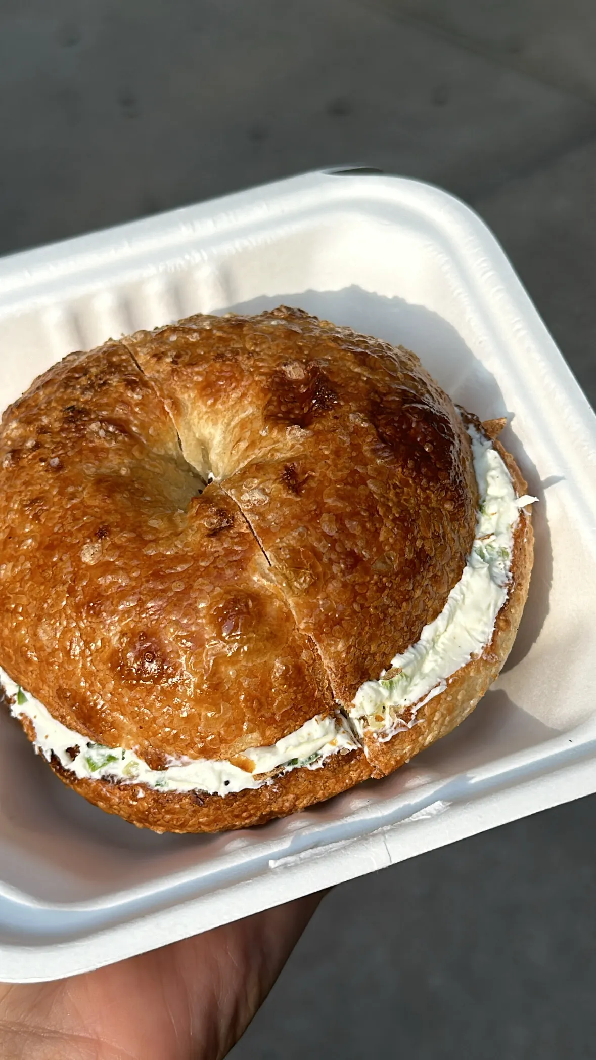 Apollo Bagels - the East Village, New York City | skyskyjuly