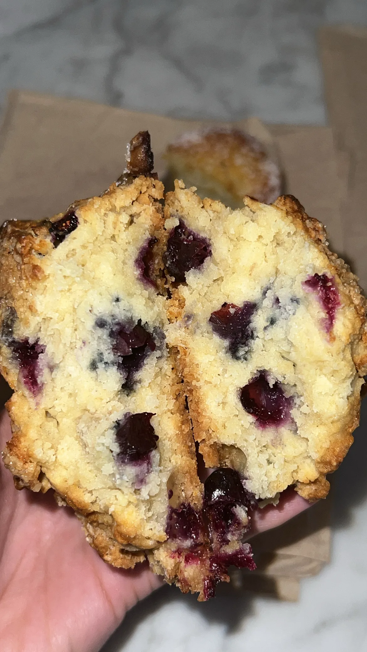 Born & Bread - Nantucket, MA | skyskyjuly