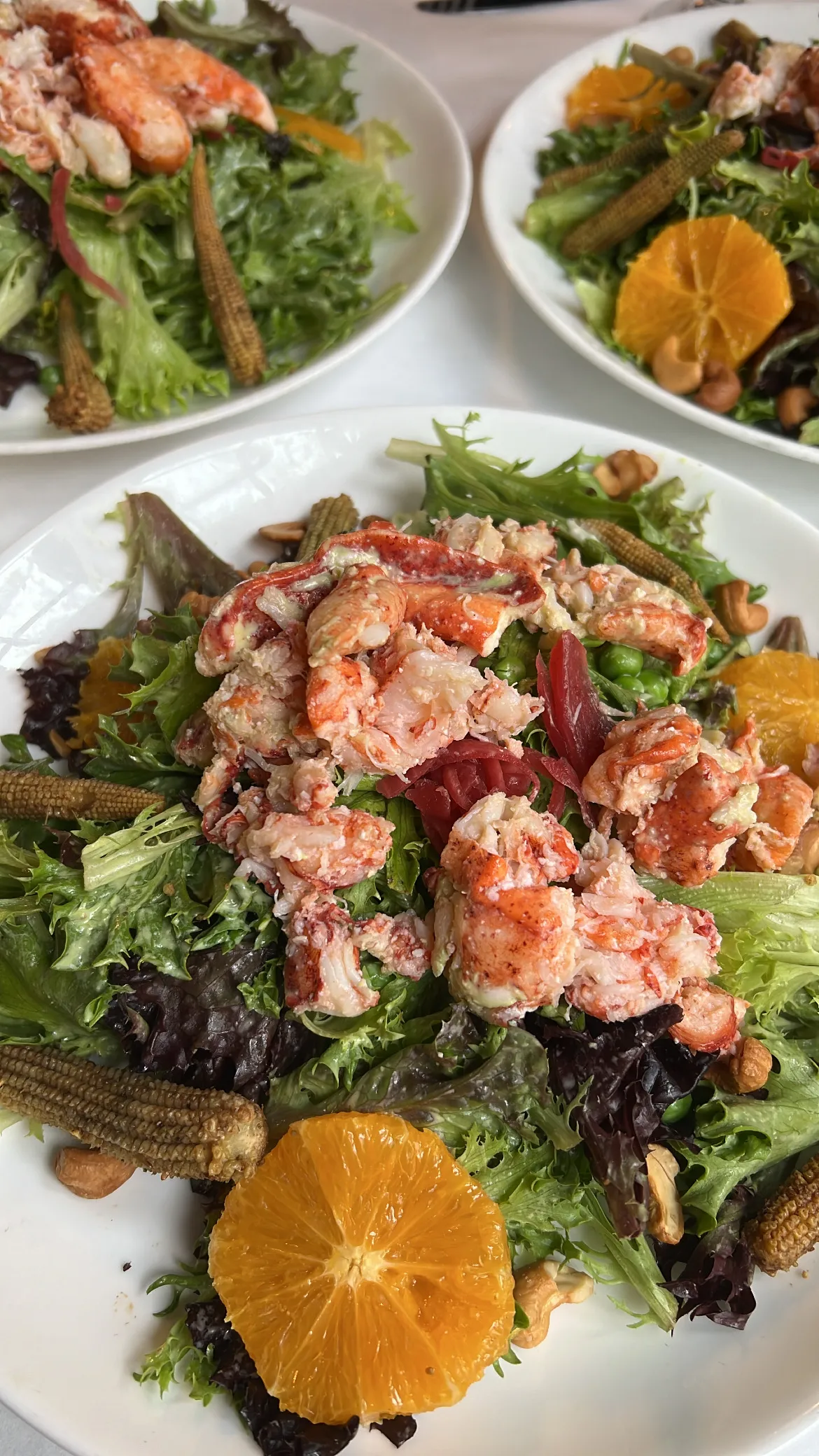 Fauna - Westhampton Beach, the Hamptons | skyskyjuly