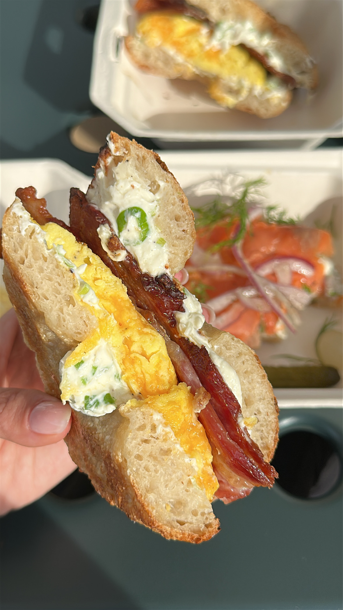 Sour Seed Bagels - West Palm Beach, FL | skyskyjuly