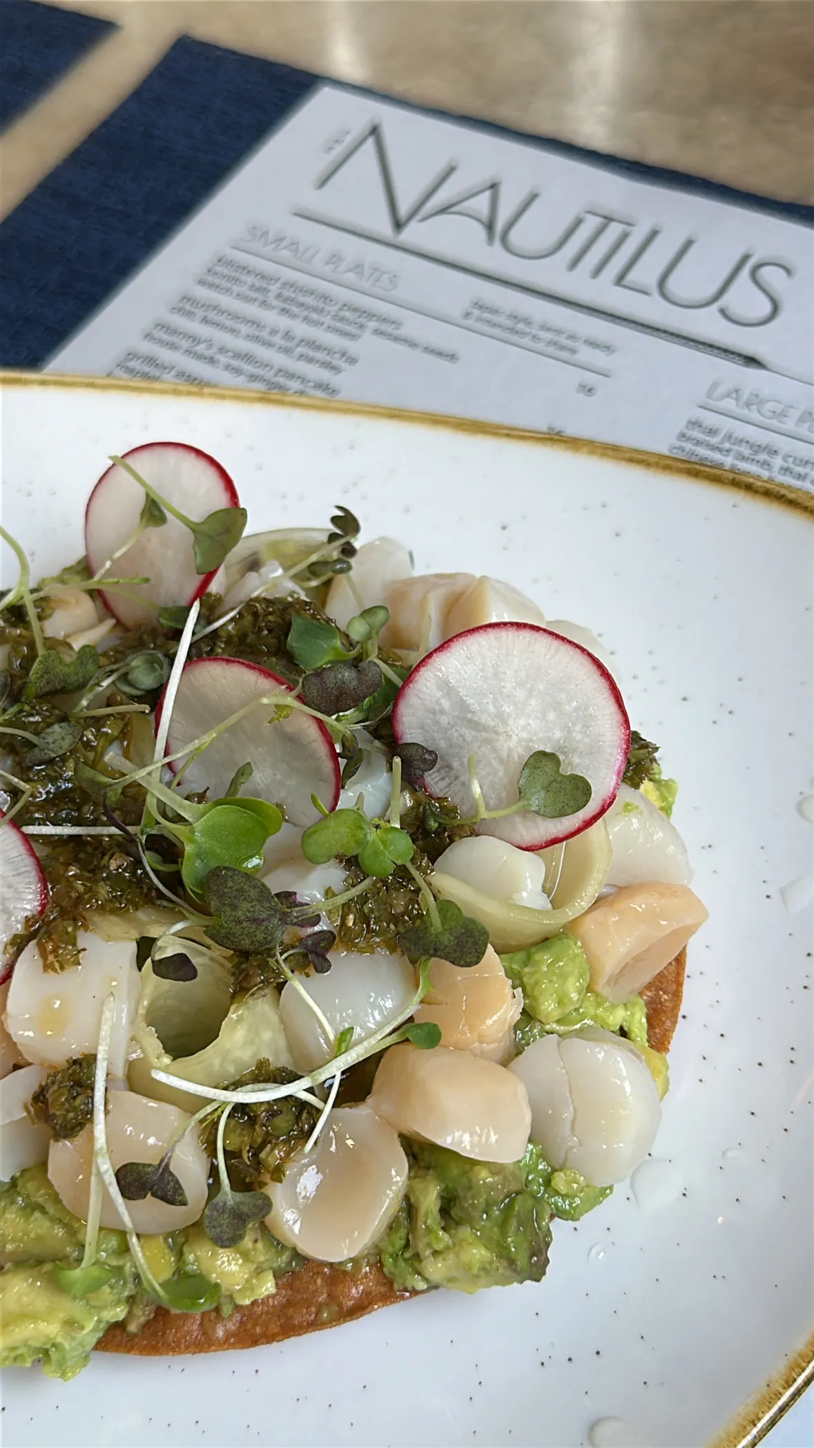 The Nautilus - Nantucket, MA | skyskyjuly